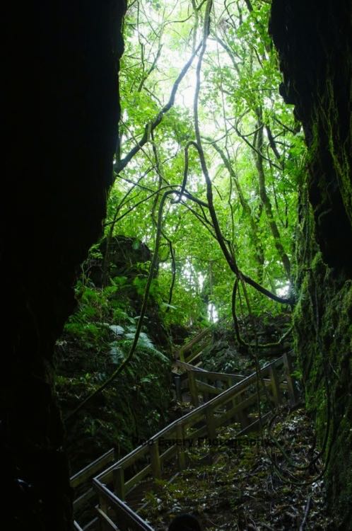 The mines of moria (at least in my mind... actually Foorwhistle glowworm cave