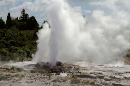 Pohutu geyser