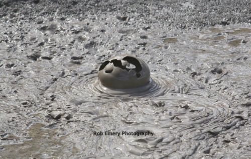 exploding mud bubble