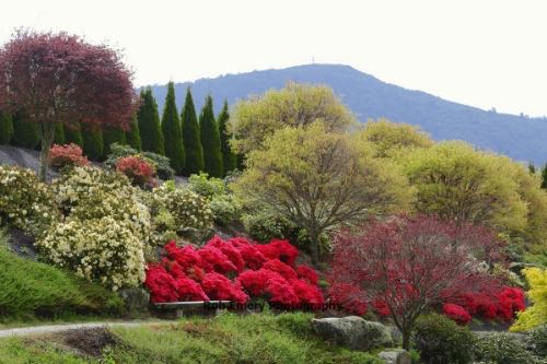 a view of the fenced off flowers