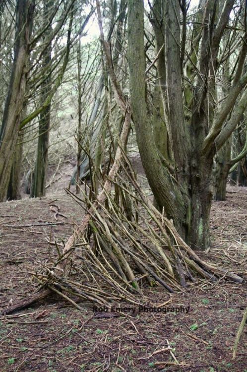 tree branch tent