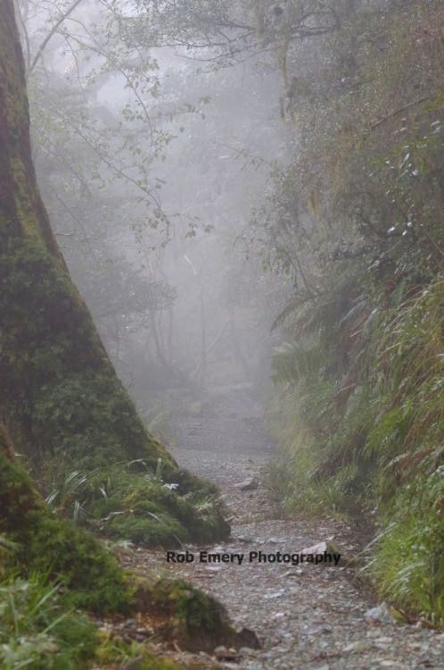on the Routeburn track