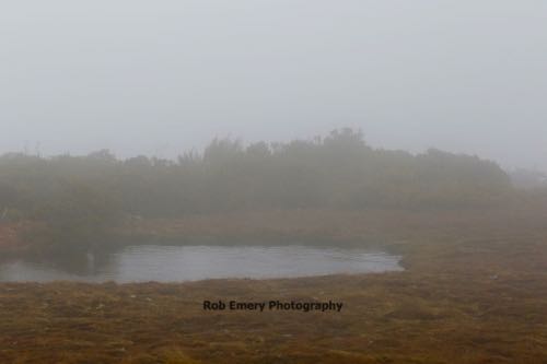 pond at key summit lookout