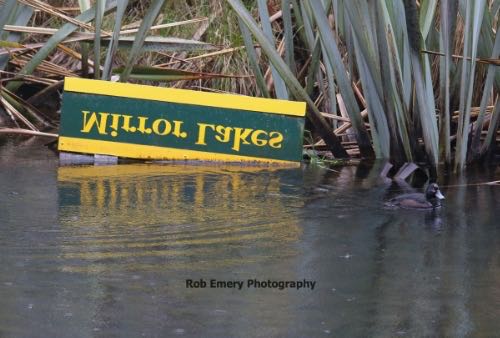 inverted Mirror Lakes sign not working so well in the rain