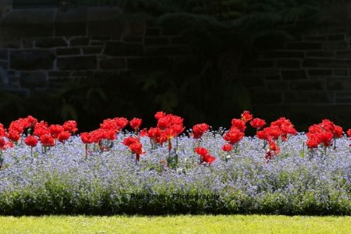 Christchurch Botanic Garden