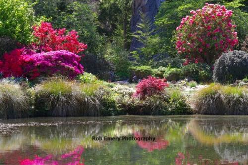 Christchurch Botanic Garden